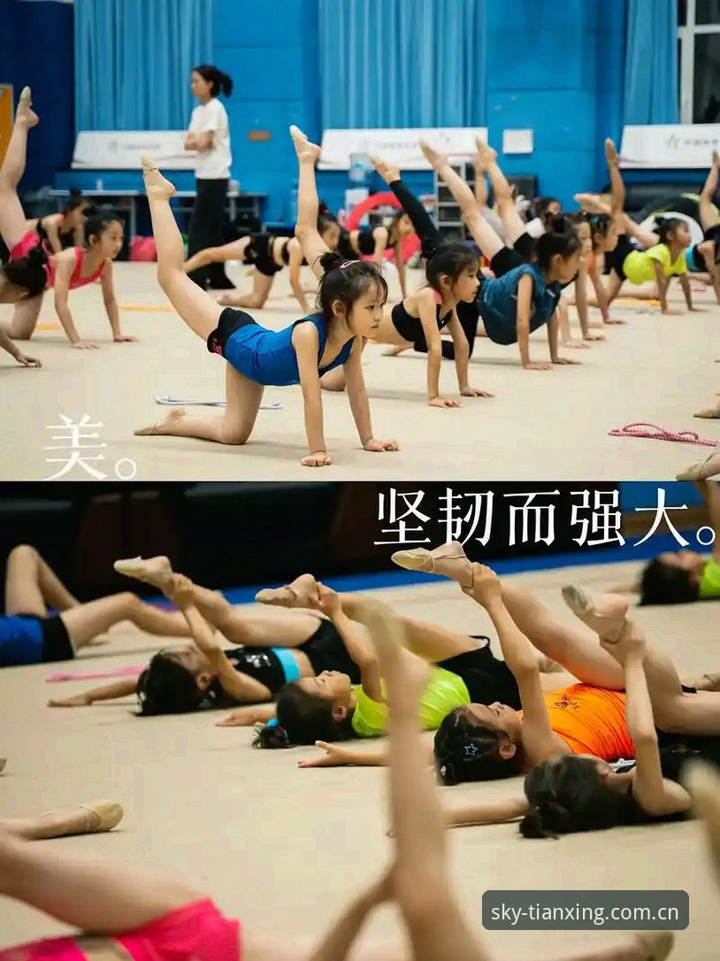 天行体育功能使用指南：从入门到精通的完整教程